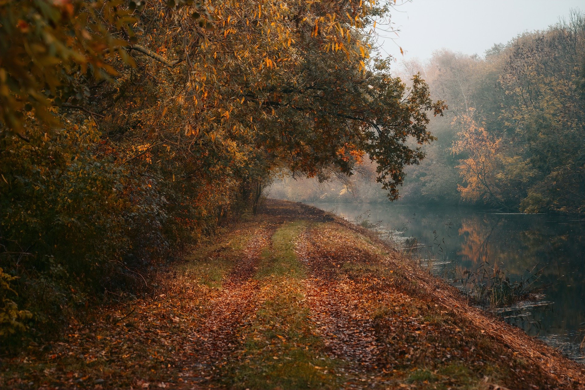 Herfstwandeling