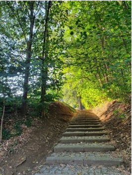 Februari Wandeling