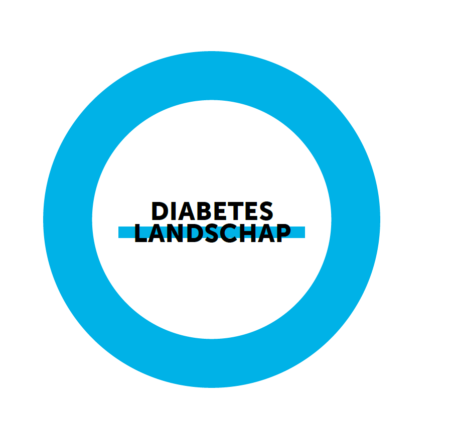 diabeteslandschap teaser