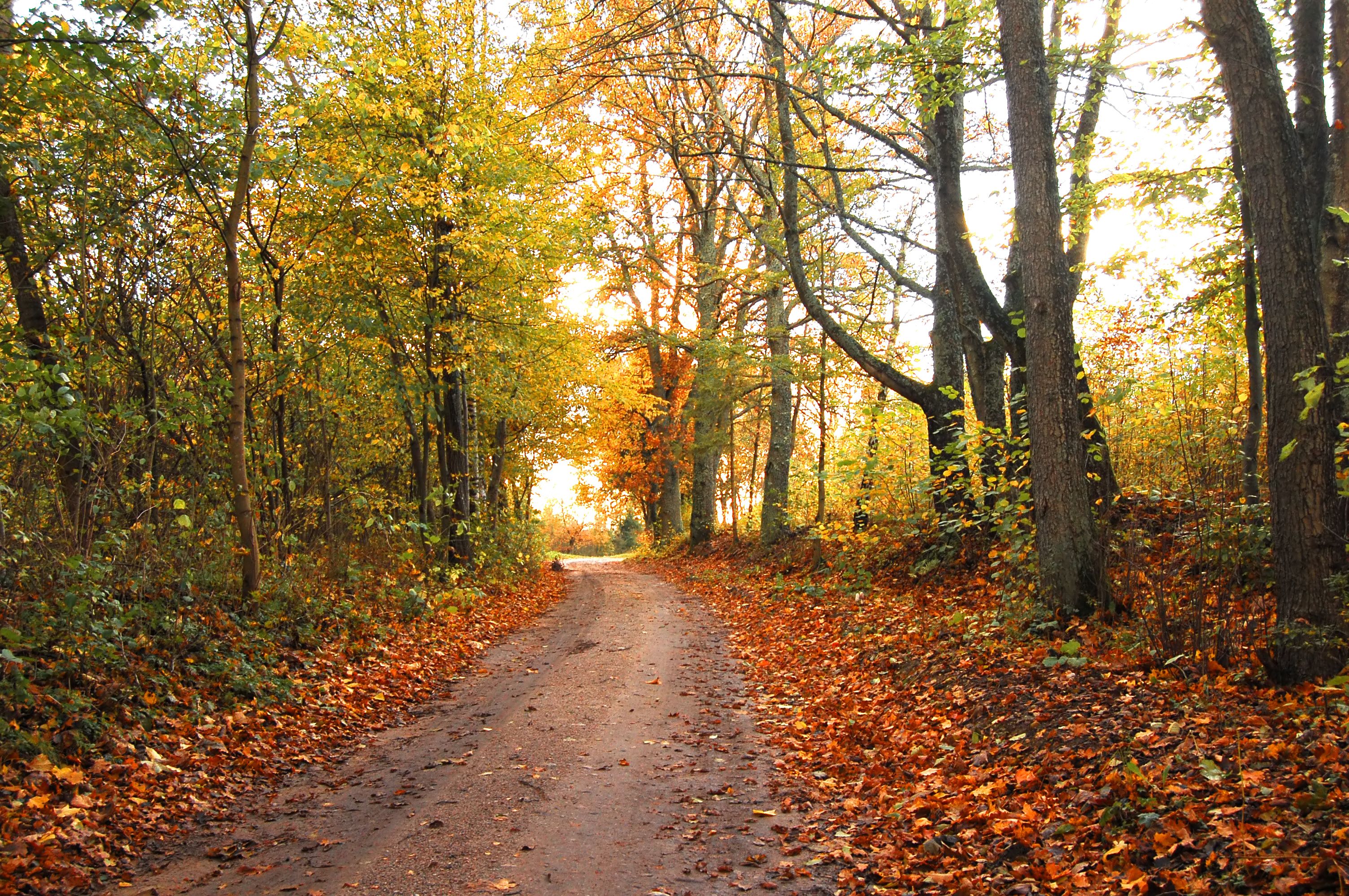 Oktoberwandeling