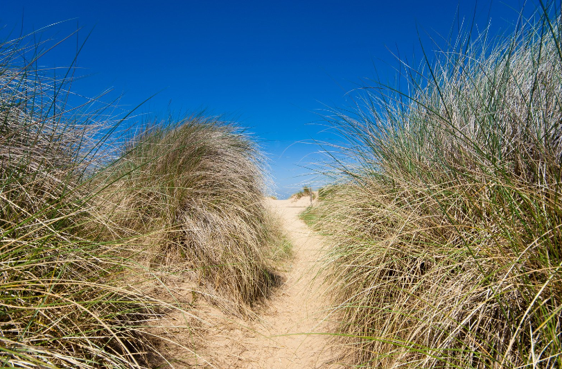 duinen