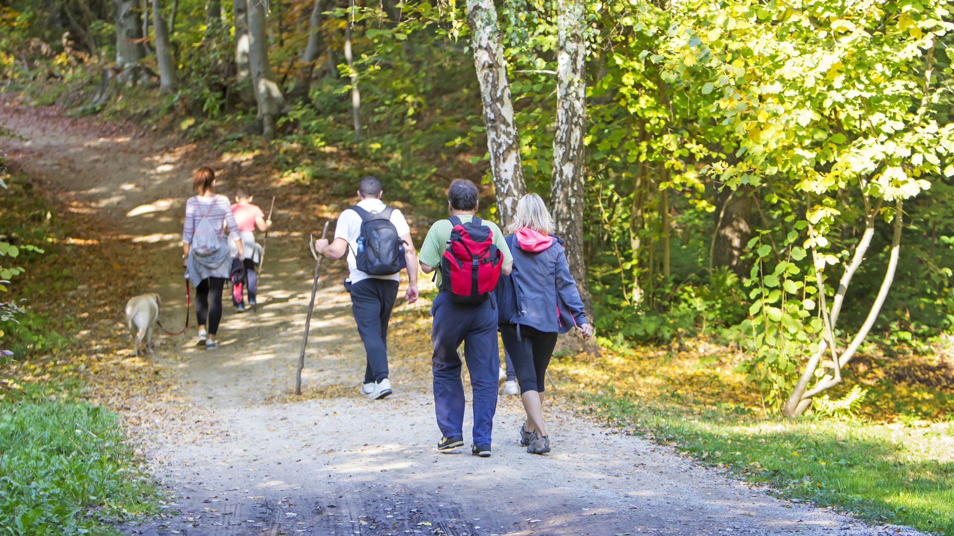 wandeling